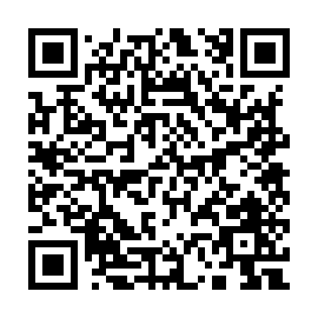 QR code for plate 1-6295