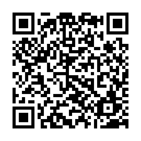 QR code for plate 16-333V