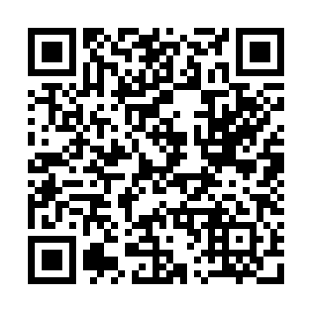 QR code for plate 16-3381