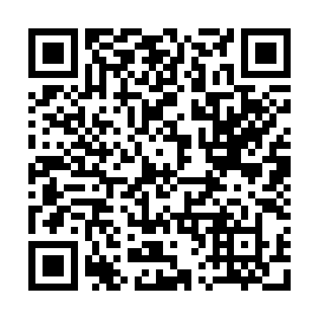QR code for 16339Z