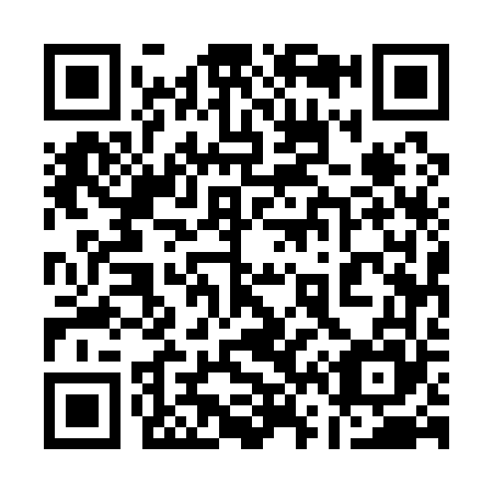 QR code for plate 1-65165