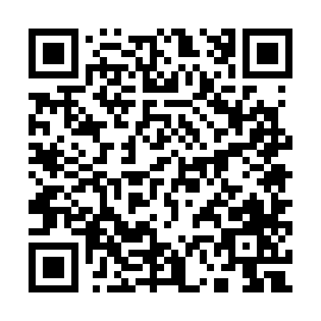 QR code for plate 1-6538