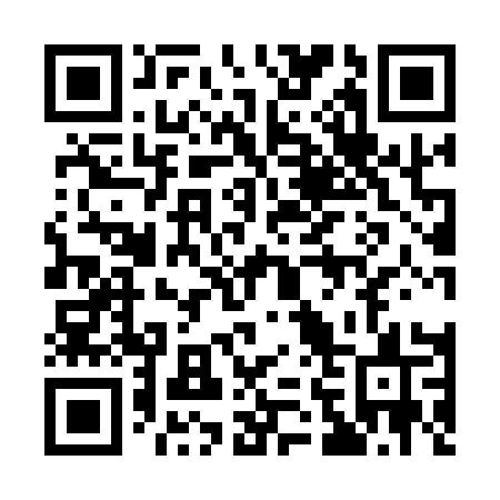 QR code for 16911S