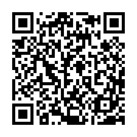 QR code for 17-0063