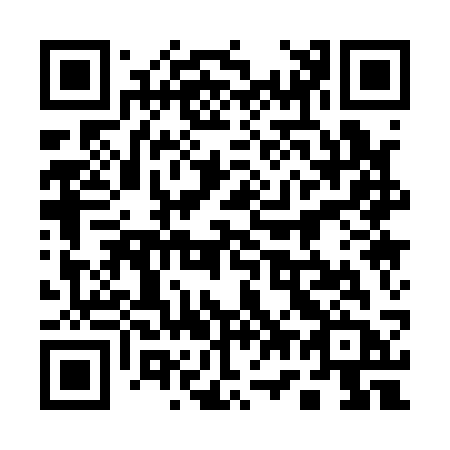QR code for 17-113B