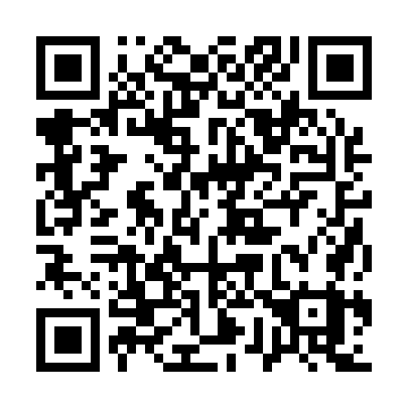 QR code for 17-217Y