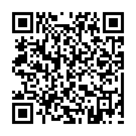 QR code for 17-295O