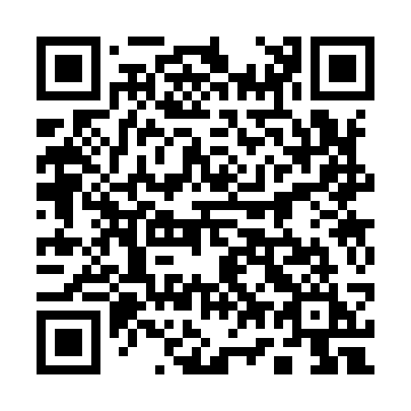 QR code for 17-393I