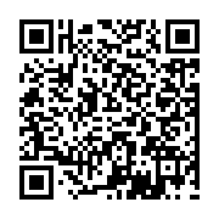 QR code for 17-69638