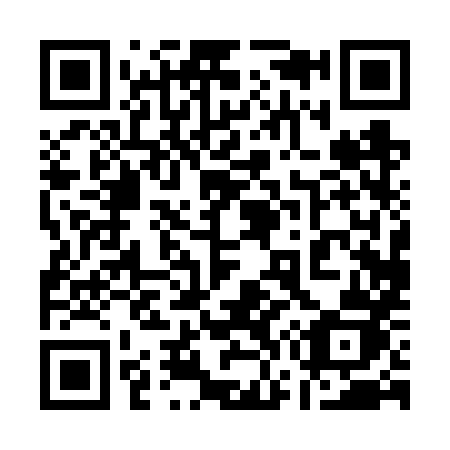 QR code for plate 17-06XJ