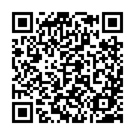 QR code for plate 17-13LM