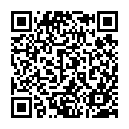 QR code for 17161N