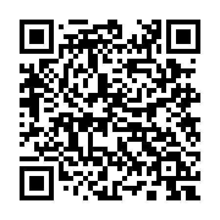 QR code for plate 17-20BL
