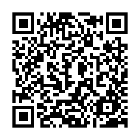 QR code for plate 17-33ZN