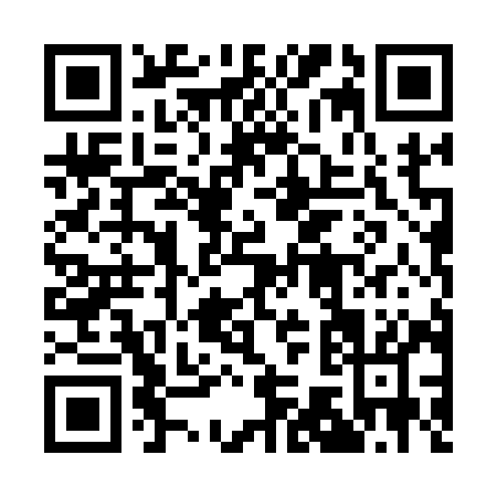 QR code for plate 1-7419