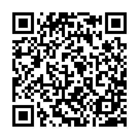 QR code for plate 17-4383