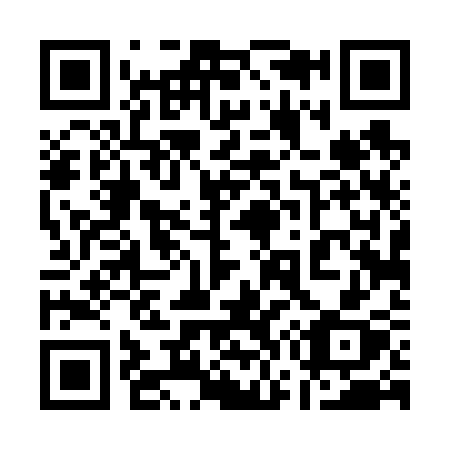QR code for plate 17-463X
