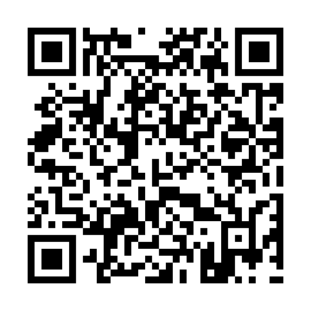 QR code for plate 17-493N