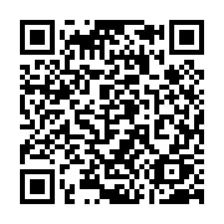 QR code for 17507P
