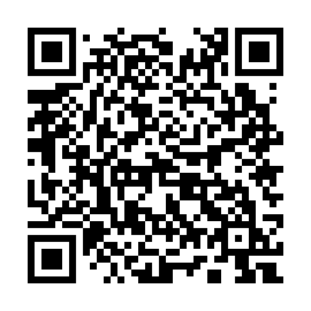 QR code for plate 17-533K