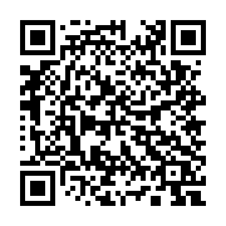 QR code for plate 17-55TR