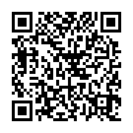 QR code for plate 1-76333