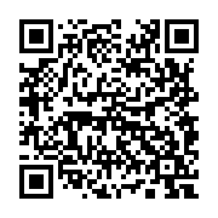 QR code for plate 17-699W