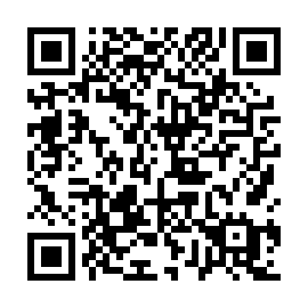 QR code for plate 17-80VE