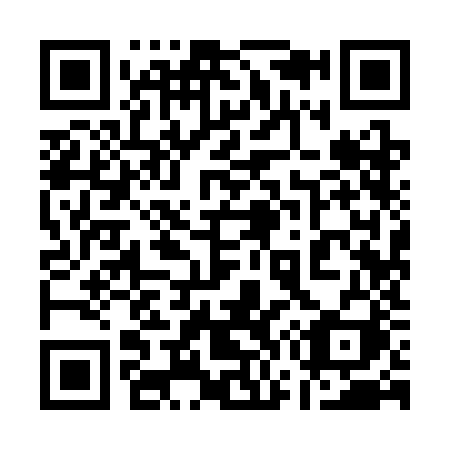 QR code for plate 17-93JI