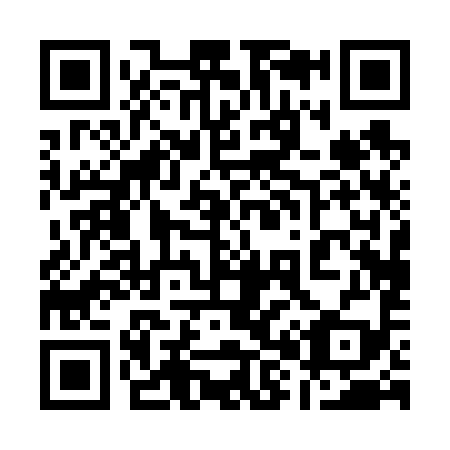 QR code for plate 18-0699