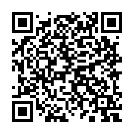 QR code for plate 18-919Q