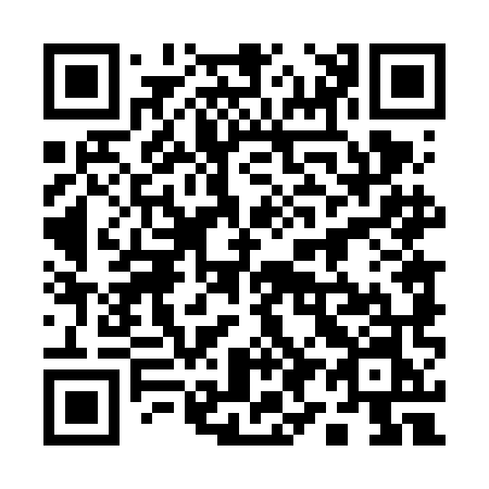 QR code for 19-46MN