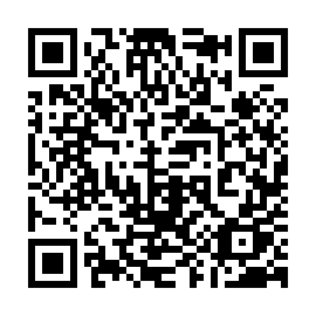 QR code for 19-685P