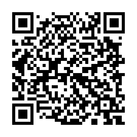QR code for 19-809T