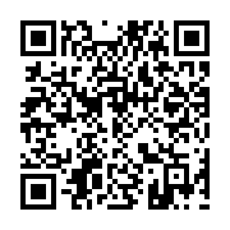 QR code for 19-91VG