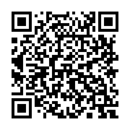 QR code for 19-991N