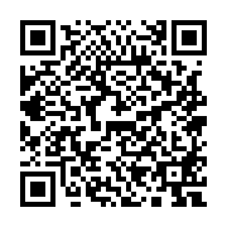 QR code for plate 19-11881