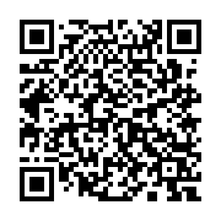 QR code for 1911LS