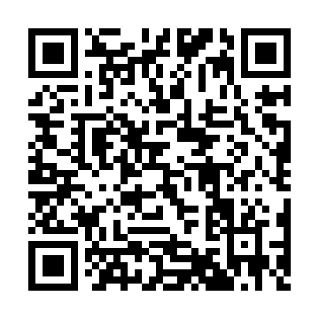 QR code for plate 1-91IR