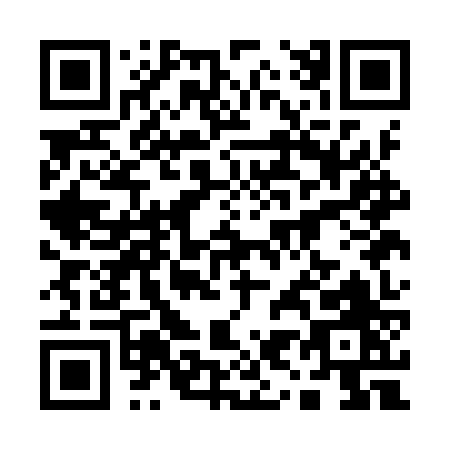 QR code for plate 1-91IZ