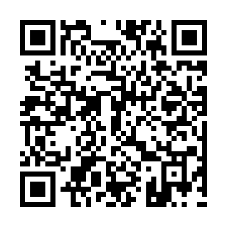 QR code for plate 19-381O