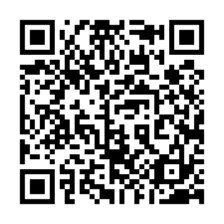 QR code for plate 19-4533
