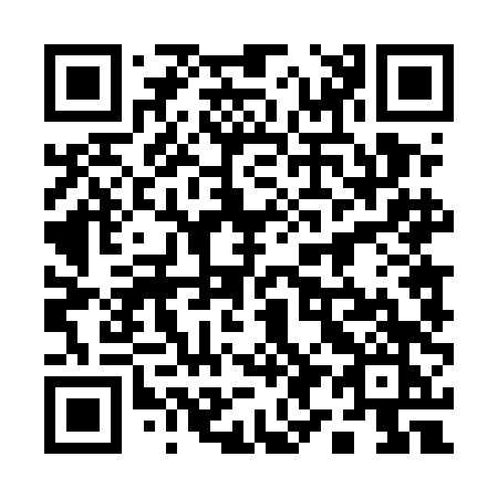 QR code for plate 19-45DK