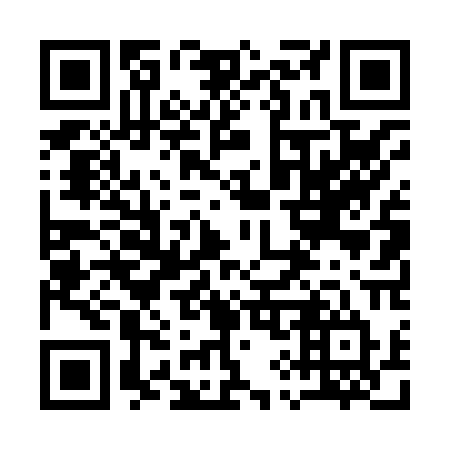QR code for plate 19-480T
