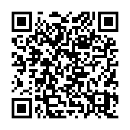 QR code for plate 19-49FY