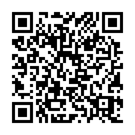 QR code for plate 19-533S