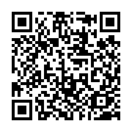 QR code for 19565P