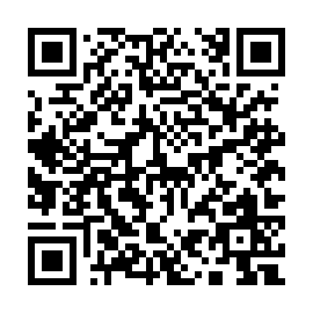 QR code for plate 1-95DK