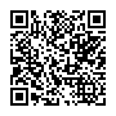 QR code for 196676
