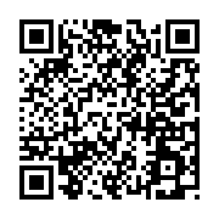 QR code for plate 1-9698